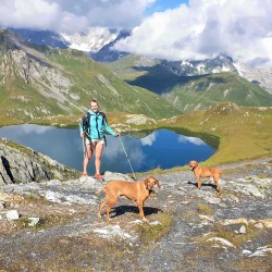 Хайкинг-Треккинг-Альпинизм