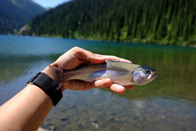 Озеро Кольсай и озеро Каинды