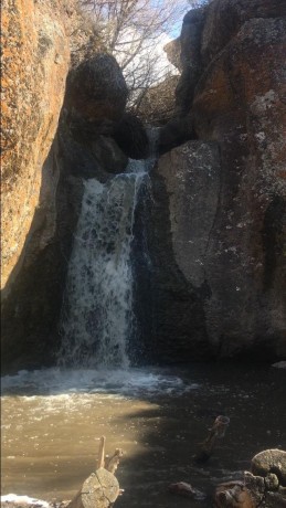 Дорогами предков