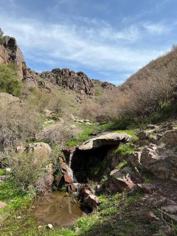 Дорогами предков