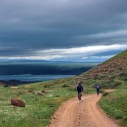 Асы-Барторгай