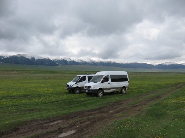 Асы-Барторгай