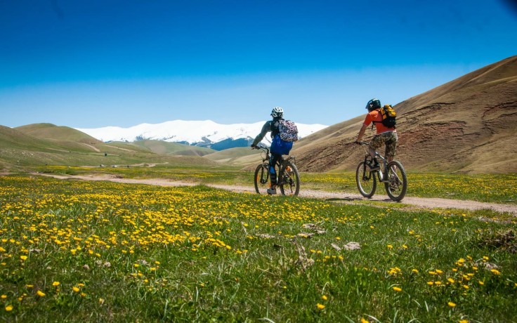 Асы-Барторгай