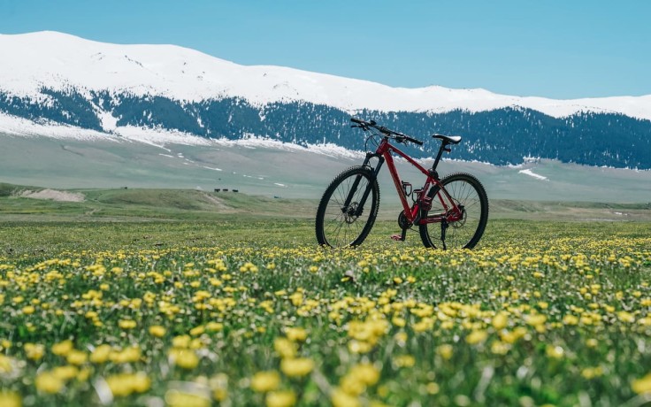 Асы-Барторгай