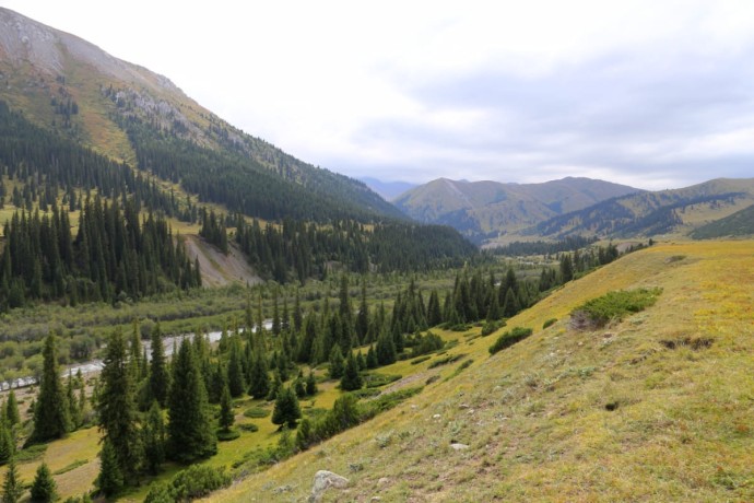 Долина реки Текес