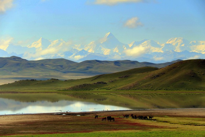 Долина реки Текес