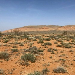 Марсианские пейзажи в горах Богуты