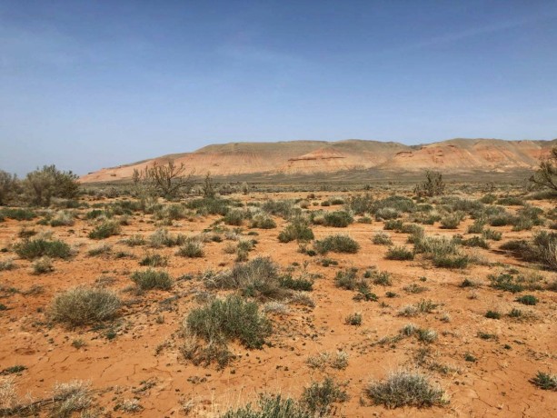 Марсианские пейзажи в горах Богуты