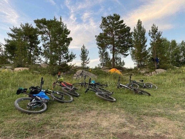 Восток-Дело тонкое ВКО