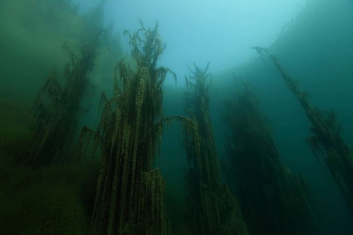 Дайвинг на озере Каинды