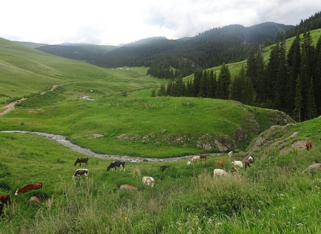 Водопад Кайрак, плато Ассы