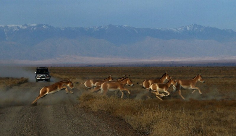 Алтын Эмель, горы Актау, Катутау, Поющий Бархан