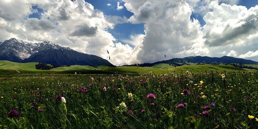 Водопад Текес и озеро Тузколь