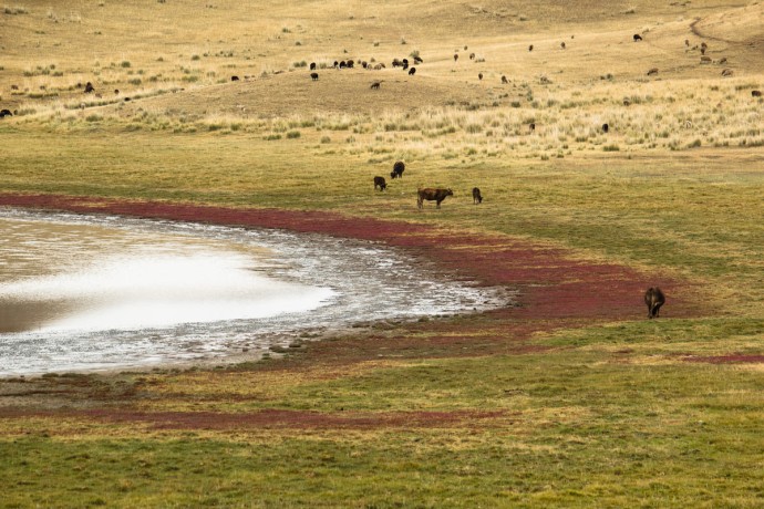 Водопад Текес и озеро Тузколь