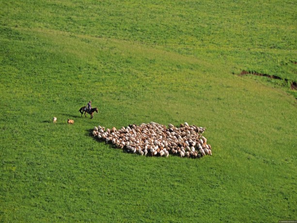 Чарынский Каньон, озеро Бартогай, плато Ассы, водопад Кайрак, Тургеньское ущелье