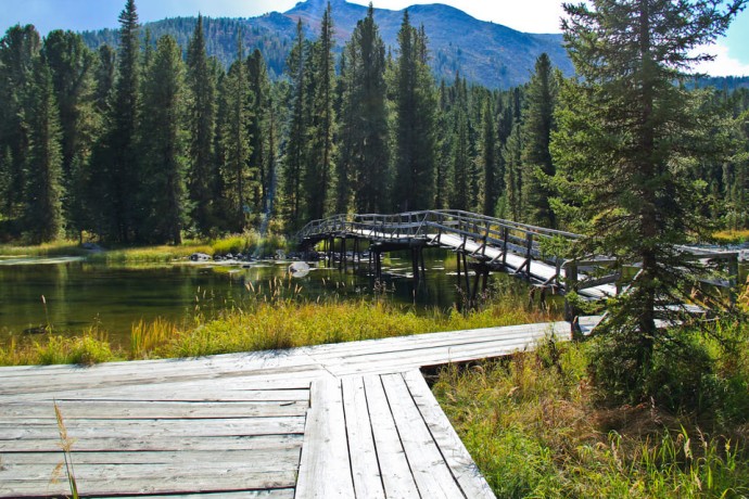 Большое Алтайское Путешествие