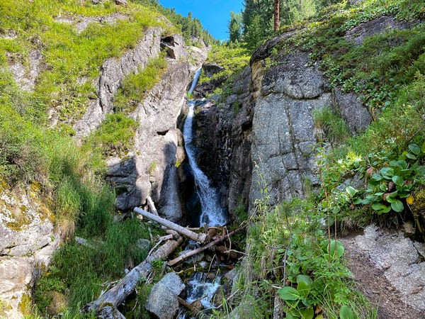 Большое Алтайское Путешествие