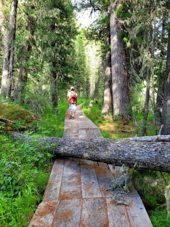 Туры на Багги