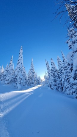 Туры на снегоходах