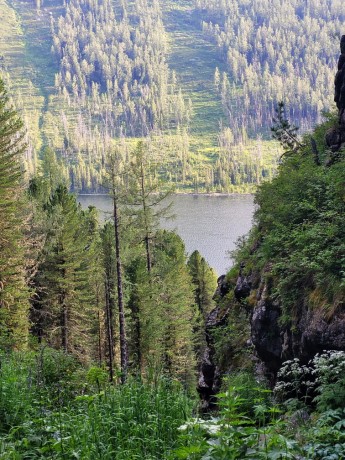 Туры на баги