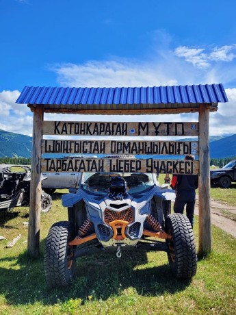 Туры на баги