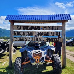 Туры на баги