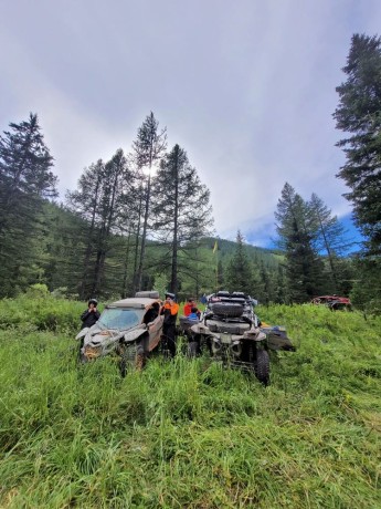 Туры на баги