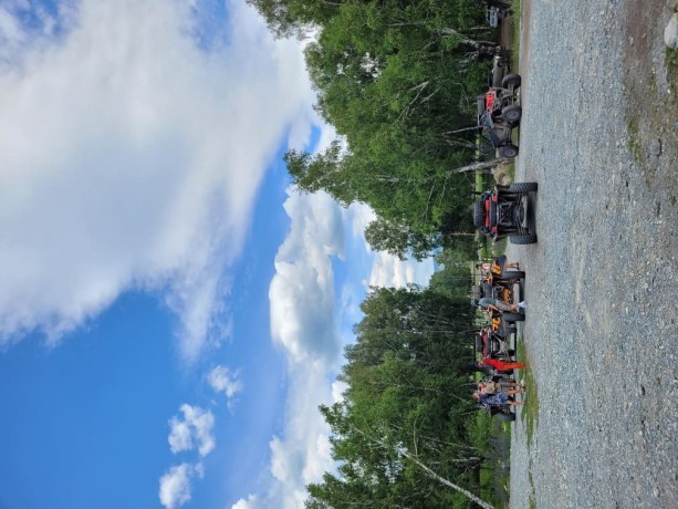 Туры на баги