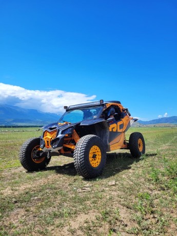 Туры на баги