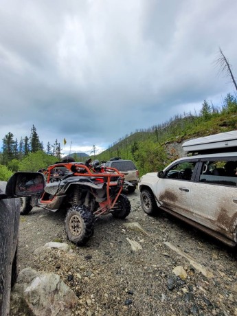 Туры на баги