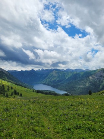 Туры на баги