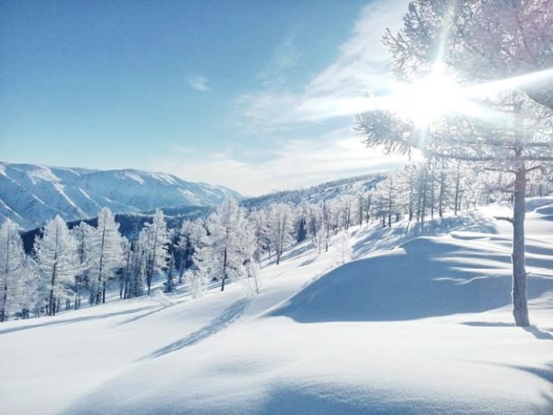 Туры на снегоходах