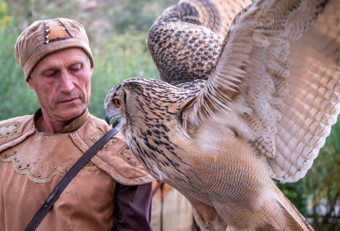 Шоу ловчих, хищных птиц в Алматинской области